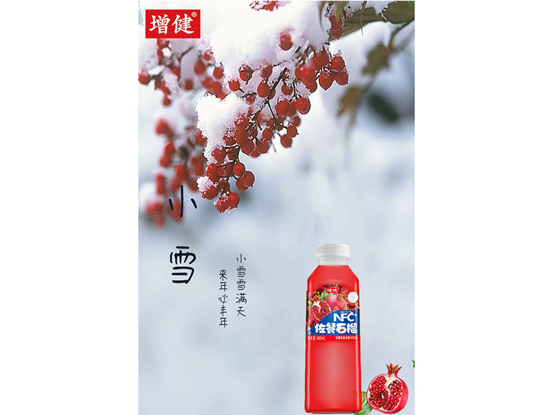 жҪ? ѩʫ