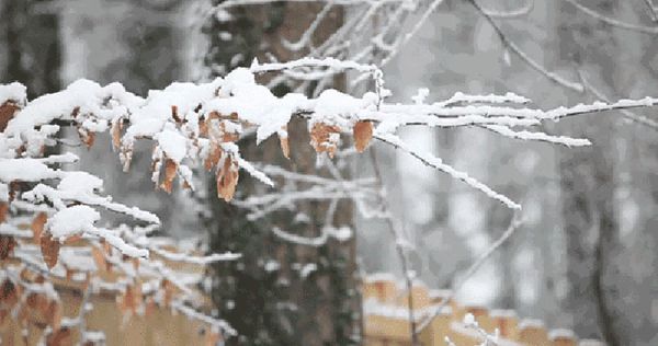 ͼƬ1
