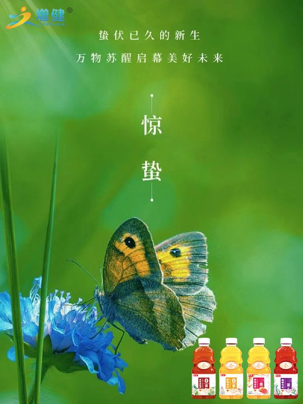 ͼƬ2